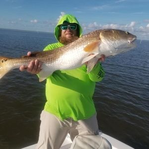 Meet your Posher, Terry